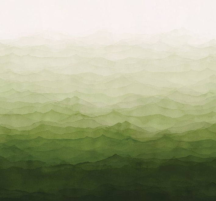 Green tea brewed