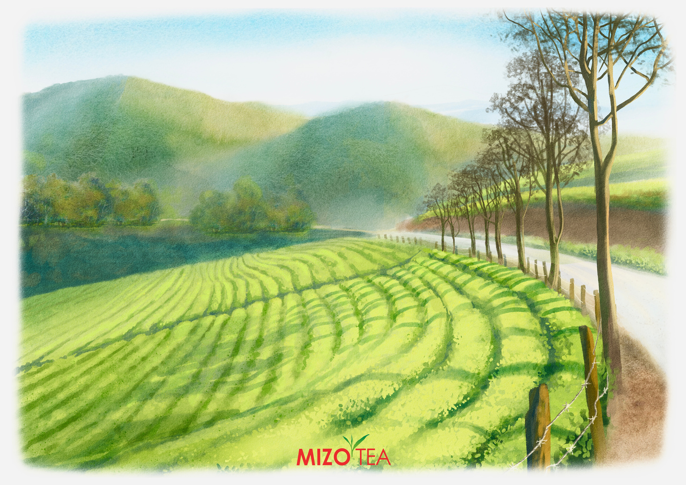 MizoTea postcards