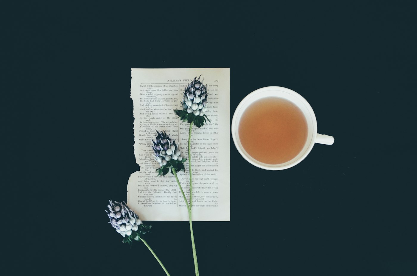 Fresh tea leaves